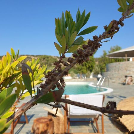 Anassa Cycladic Village Galissas Ngoại thất bức ảnh